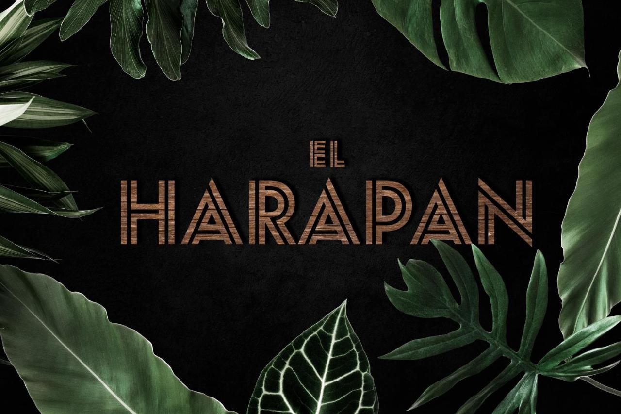 El Harapan - Sumergete En Una Selva A Pie De Playa - Grupo Querbes 希洪 外观 照片